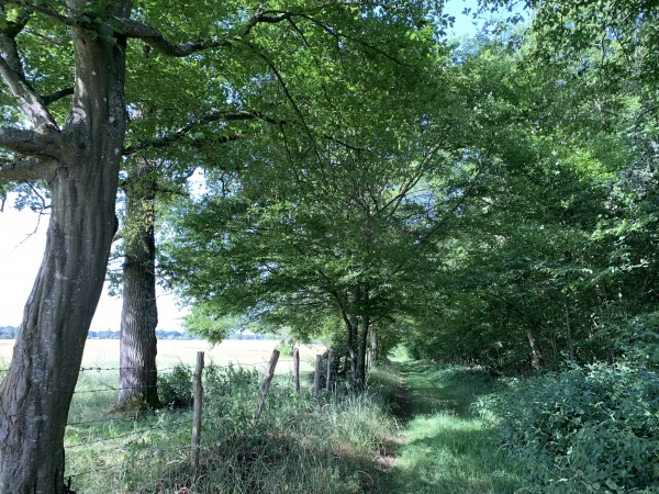 Lieu-dit du Nouveau Monde.