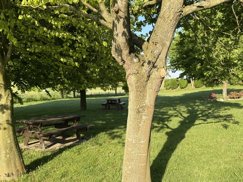 Nous partons du parking proche du cimetière de Thiergeville. Près du parking se trouve ce bel espace de pique-nique. Notre premier chemin longe ce parc.