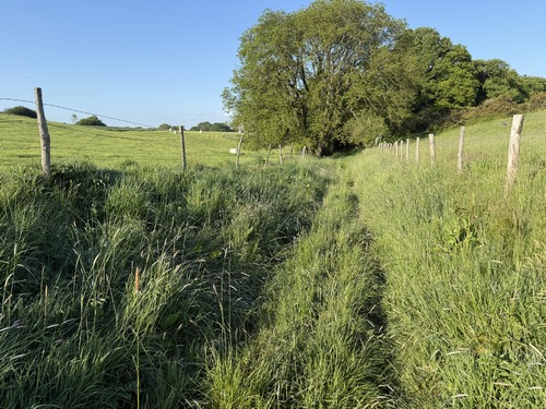 Notre premier chemin est très herbeux en cette saison, et l'herbe cache de profondes ornières, attention aux chevilles.