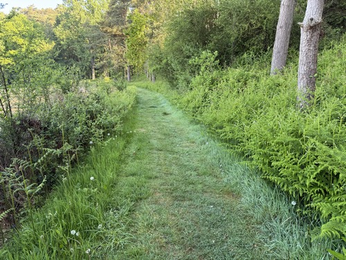 En approchant de l'Orval, le chemin est parfaitement entretenu.