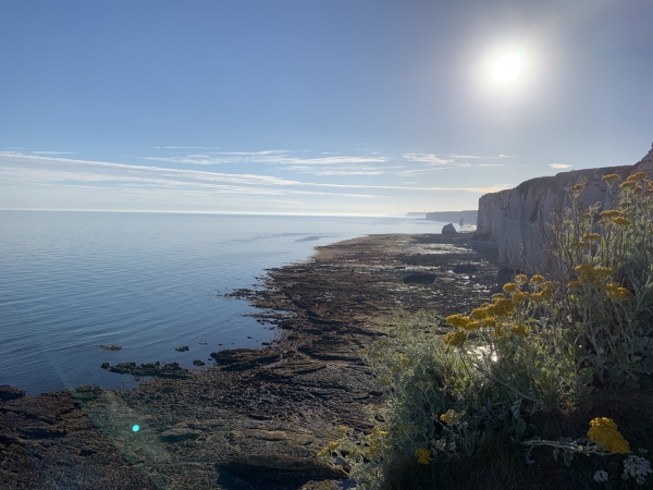Le platier en direction du nord.