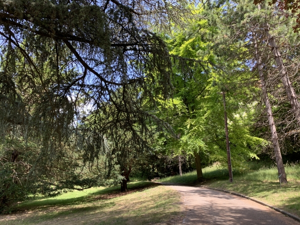 Amfreville-la-mi-Voie, ainsi nommée en raison de sa position à mi chemin entre Rouen et le premier relai de poste sur le grand chemin de Paris, propose plusieurs circuits de randonnées (cf site web de la ville). Aujourd'hui, nous traçons notre propre parcours, en partant du parc Lacoste.