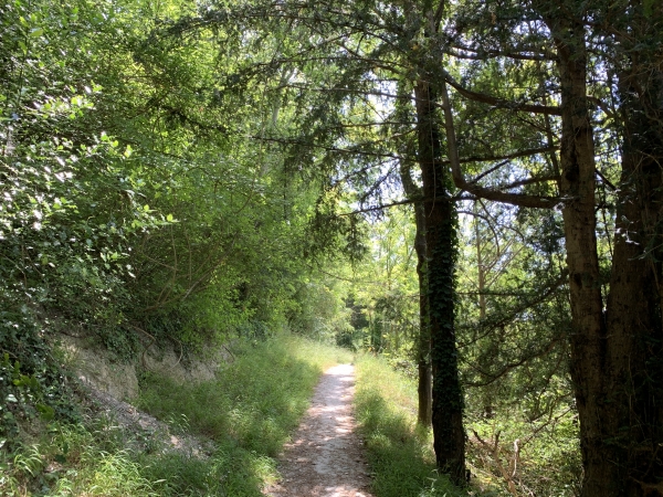 La Sente aux Ifs est parfaitement entretenue, nous supposons que ce circuit est praticable un jour de pluie et lui attribuons un parapluie vert.