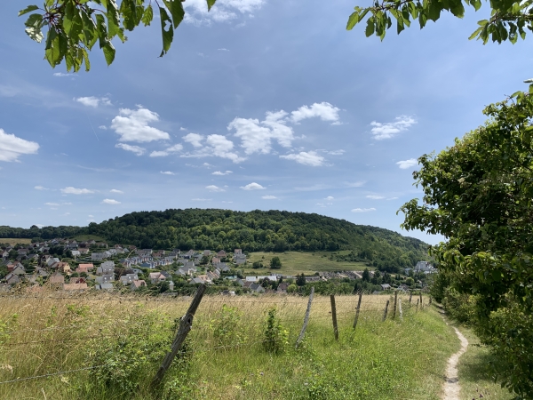 Nous sortons du bois et voyons déjà les quartiers Belle-Vue et Buissonnets d'Amfreville-la-mi-Voie.