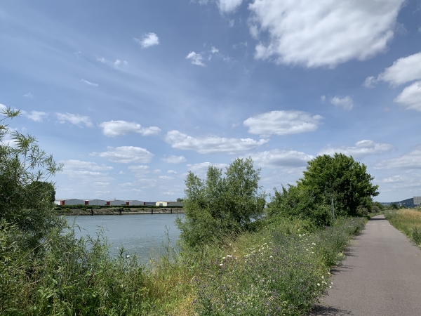 Nous suivons maintenant l'ancien chemin de halage aménagé en piste cyclable.