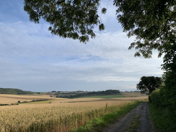 Nous quittons Osmoy-Saint-Valery par le chemin des Trois Maisons et prenons la direction du Mont Bodin.