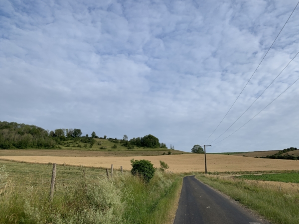 Le sommet du Mont Bodin se trouve à gauche sur la photo, nous y accédons par cette petite D115.