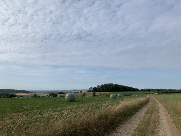 Nous suivons vers le sud le chemin de crête du Mont Bodin.