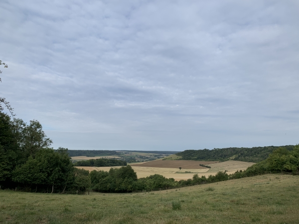 Regard sur le Pays-de-Bray depuis le Mont Bodin.