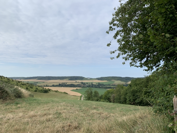 Voilà notre prochaine étape : nous allons traverser la vallée de la Béthune à Saint-Valery, puis suivre le coteau d'en face à mi-pente.