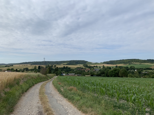 Descente vers le bourg de Saint-Valery.
