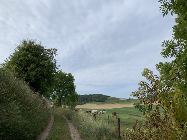 Nous sortons de Saint-Valery par le chemin du Val Brière.
