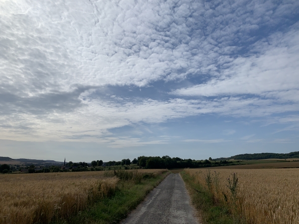 Nous distinguons le clocher de l'église de Bures-en-Bray, mais nous allons bifurquer à droite pour monter vers le bois de Locus.
