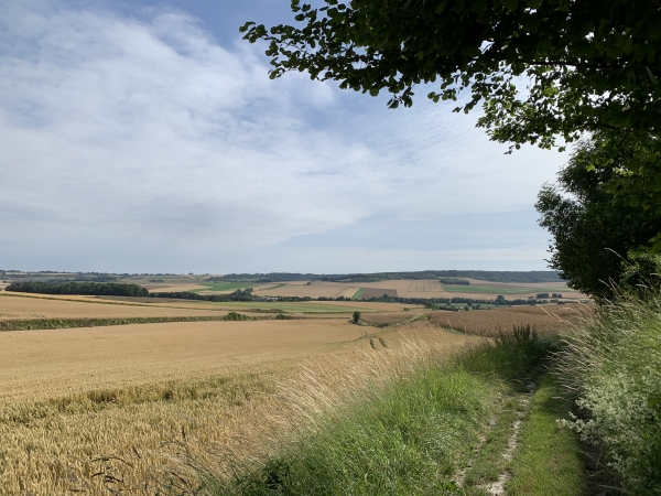 Notre chemin domine la vallée de la Béthune.
