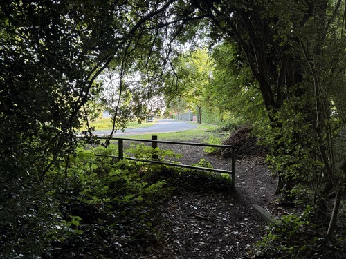 Sortie du bois du Roule. Le chemin de lisière à droite est un chemin privé. Nous continuons tout droit, rue du Roule.