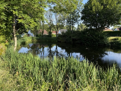 Nous aurions pu prendre le chemin vers le nord à l'entrée du village, nous préférons traverser le bourg. Mare des Vergers de St-Jacques.