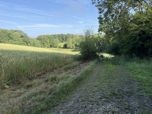 La rue de Bellevue se prolonge en chemin en direction des bois.