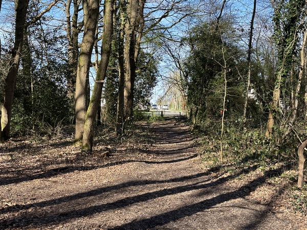 Nous quittons le GR pour rejoindre la Table de Pierre. Impossible de couper par le bois du Petit Roule : c'est un bois privé.
