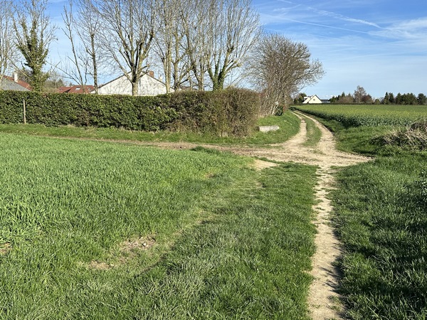 Le chemin de la Table de Pierre nous conduit directement à St-Jacques-sur-Darnetal. Nous pourrions tourner ici à gauche le long des haies, nous préférons continuer en face, et traverser le bourg.