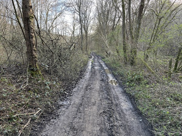 Le chemin est boueux, en période humide, dans le vallon encaissé du bois Pigache.&nbsp; Le stade des Violettes se trouve un peu plus loin au bout du chemin.