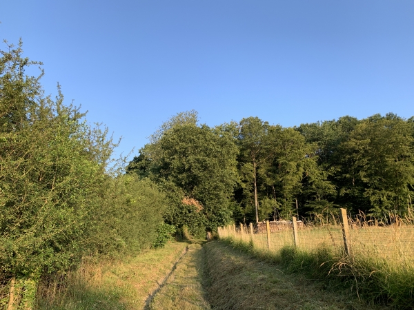 Nous montons la côte du Val-Marin vers le Grand-Thuit.