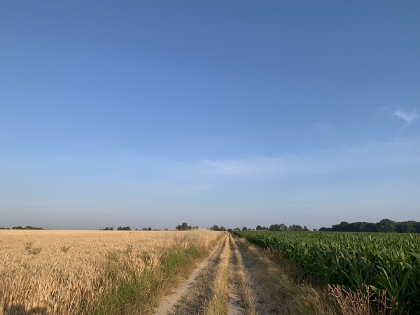 Nous traversons le plateau agricole du Grand-Thuit, toujours sur le même chemin.