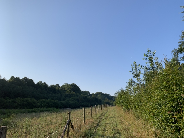 Le bois traversé, nous arrivons dans un charmant vallon au pied du Mont-Rôti.