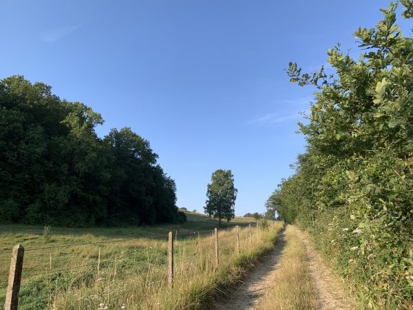 Nous montons vers Cressenville.