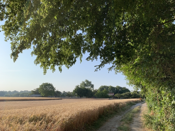 Nous longeons Cressenville sans quitter notre chemin.