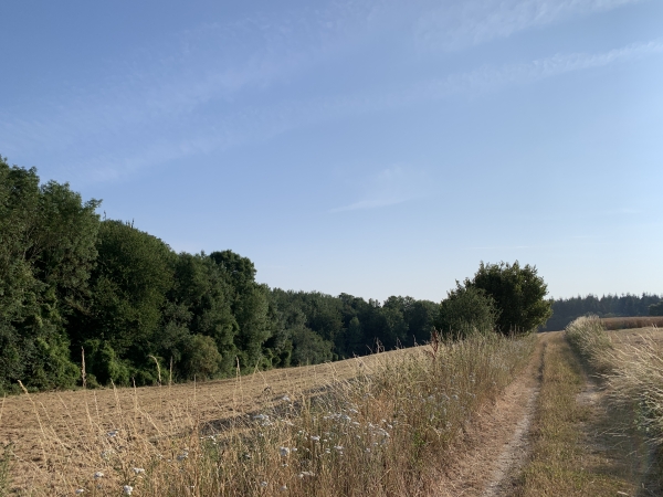 Nous avons traversé Gaillardbois, et nous marchons maintenant sur l'ancienne route de Touffreville.