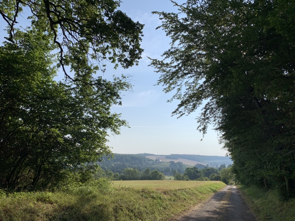 Nous sortons du bois au-dessus de Touffreville. Au loin, sur sa butte, nous distinguons l'église Saint-Pierre de Touffreville. C'est l'une de nos étapes.