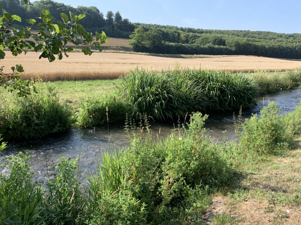 Nous suivons la Lieure en direction du sud-ouest par la rue des Maraichers.
