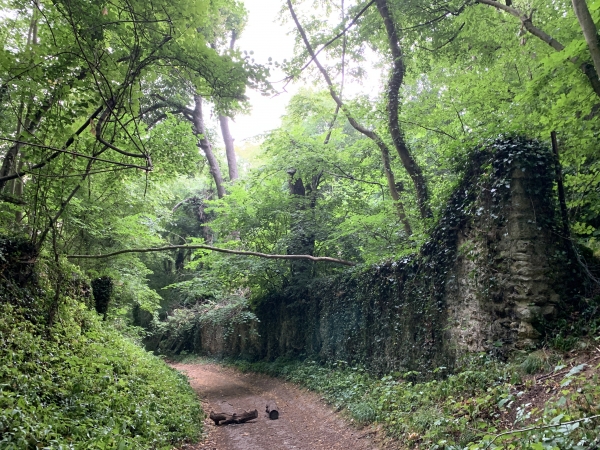 Nous longeons les murs du parc du château de Jeufosse, lieu de l'Affaire de Jeufosse, où l'homme qui poursuivait la fille Jeufosse de ses assiduités fut tué par le garde-chasse du château. Cette affaire sert de base à un concours de plaidoirie de l'académie de Rouen.