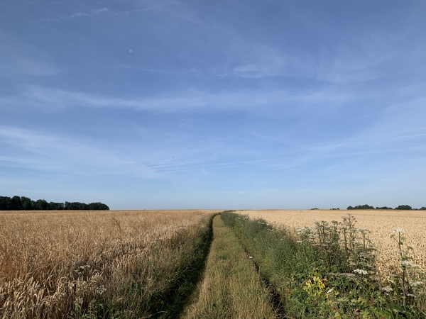 Nous traversons le plateau agricole divisé en noms évocateurs : le Parc, la Galère, le Bout-du-Thil...