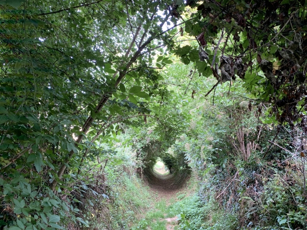 Rue du V1, nous avons râté l'entrée de la Petite-Rue-du-Thil (c'est le nom de ce chemin !) et sommes passés par la rue des Canadadiens. Nous retrouvons la Petite-Rue-du-Thil au niveau de l'école.