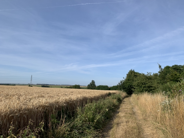 Nous nous dirigeons maintenant vers le coteau est de la Vienne, affluent de la Saâne.