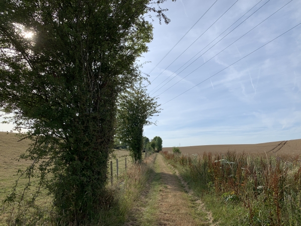 Dès l'arrivée sur le plateau, les paysages changent et nous retrouvons les champs de la plaine d'Auppegard.