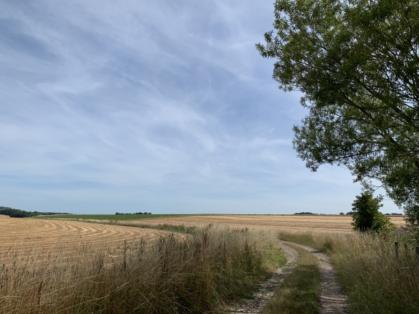 Nous retrouvons les paysages champêtres de la plaine d'Auppegard.