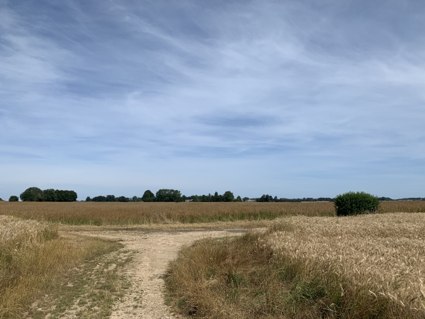 Au bout du Chemin des Haranguets, nous retrouvons le Chemin de la Ferme que nous allons suivre cette fois-ci à droite.
