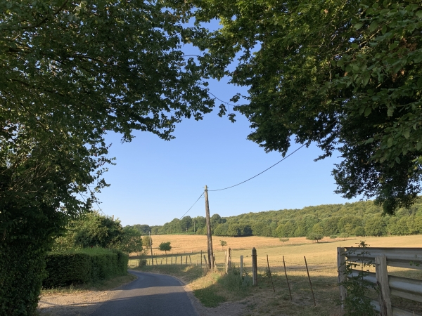 La route du Torps est une voie sans issue, nous occupons toute la largeur de la route et n'avons croisé aucun véhicule. A droite, la forêt de Brotonne.