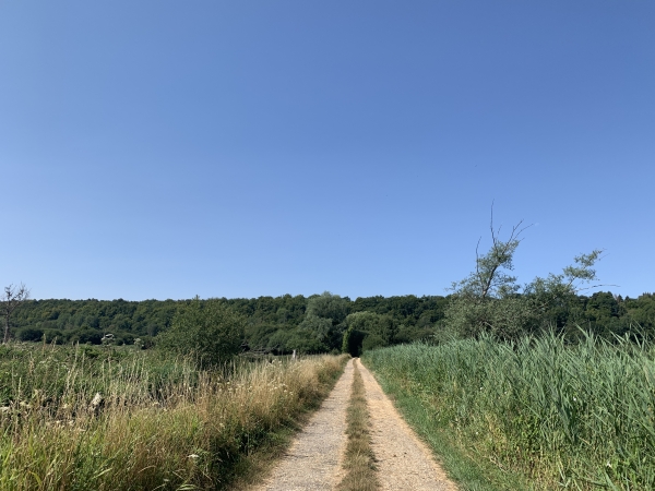 Nous traversons les marais pour rejoindre le chemin de Lavieux, entre colline et marais.
