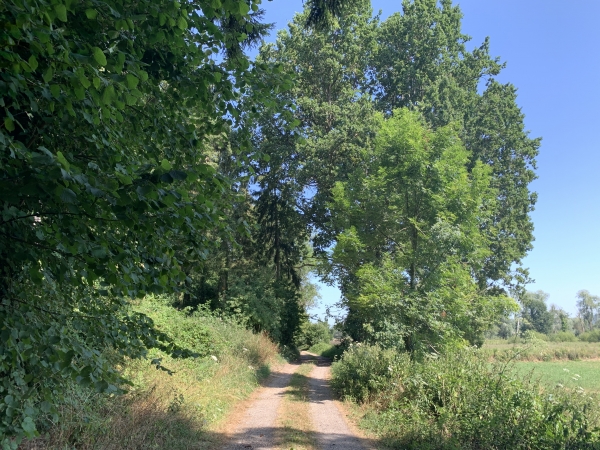 Le chemin de Lavieux longe le marais aux pieds de la colline de Caveaumont.