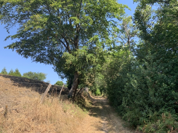 Arrivés sur la Côte de Caveaumont, nous suivons maintenant le chemin du Moulin.