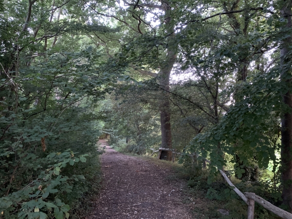 La Maison du Parc a aménagé des chemins qui la relie au Chemin du Roi.