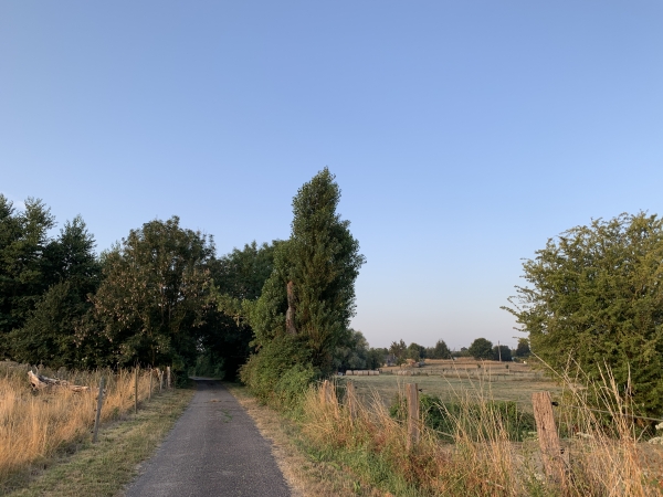 Notre chemin oblique vers le sud. Les paysages sont charmants, mais le fond sonore moins : nous sommes à une centaine de mètres de la D490 où les camions se succèdent sur la route du pont de Brotonne.
