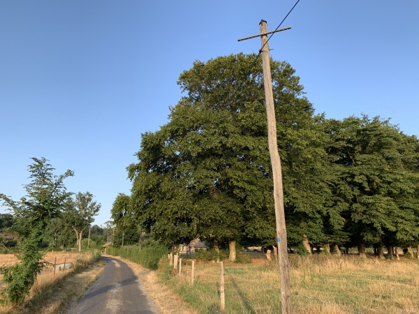 Chemin de l'Auberge, nous arrivons en lisière de forêt.