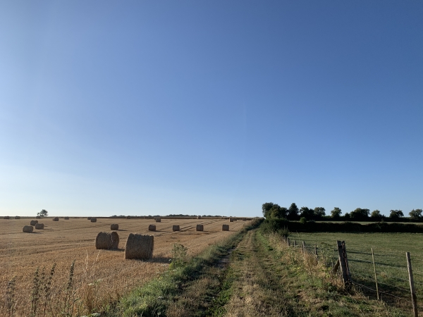 Après avoir traversé la N31, nous marchons vers la forêt domaniale de Lyons.