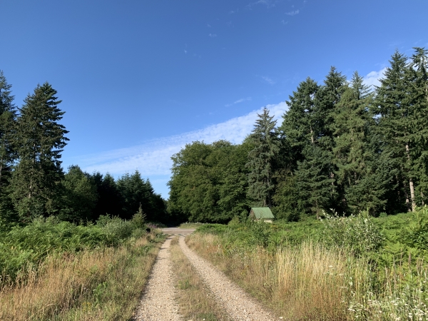 Nous arrivons au carrefour de l'Ancien Camp de la Haye, équipée d'un abri pour les marcheurs.