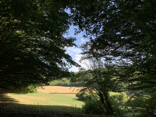 Nous arrivons au-dessus du Val de Lys, vallon champêtre au coeur de la forêt.