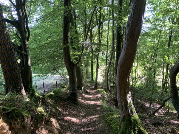 Le chemin vers le Val de Lys descend dans un étroit couloir boisé.